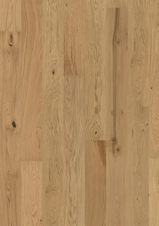 OAK ASTER MATT