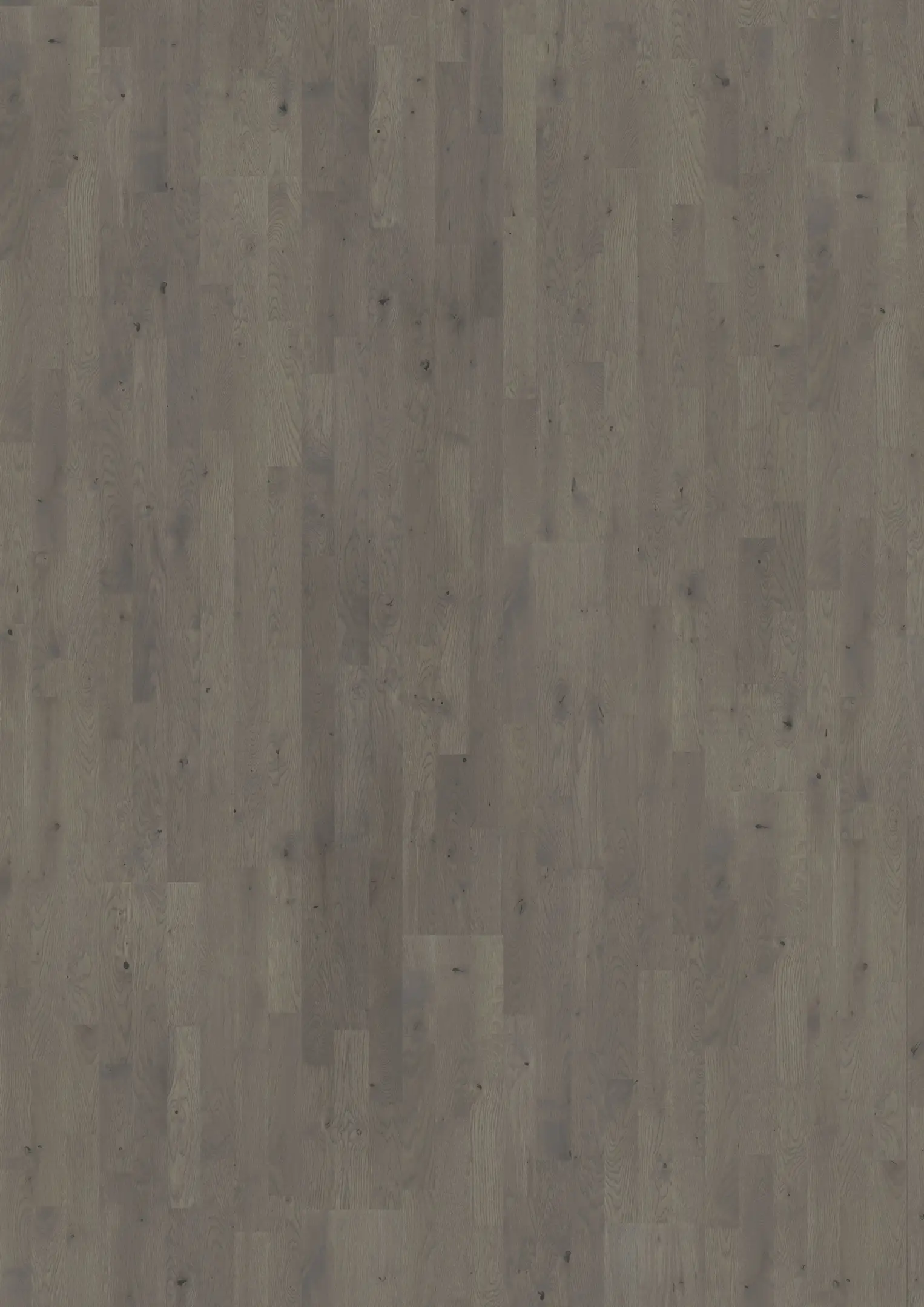 EICHE PEARL GREY Alle Bodenbeläge Kährs