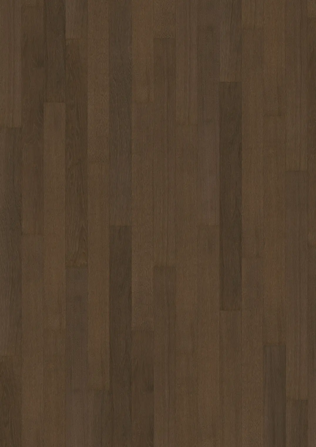 Cocoa Bean Narrow