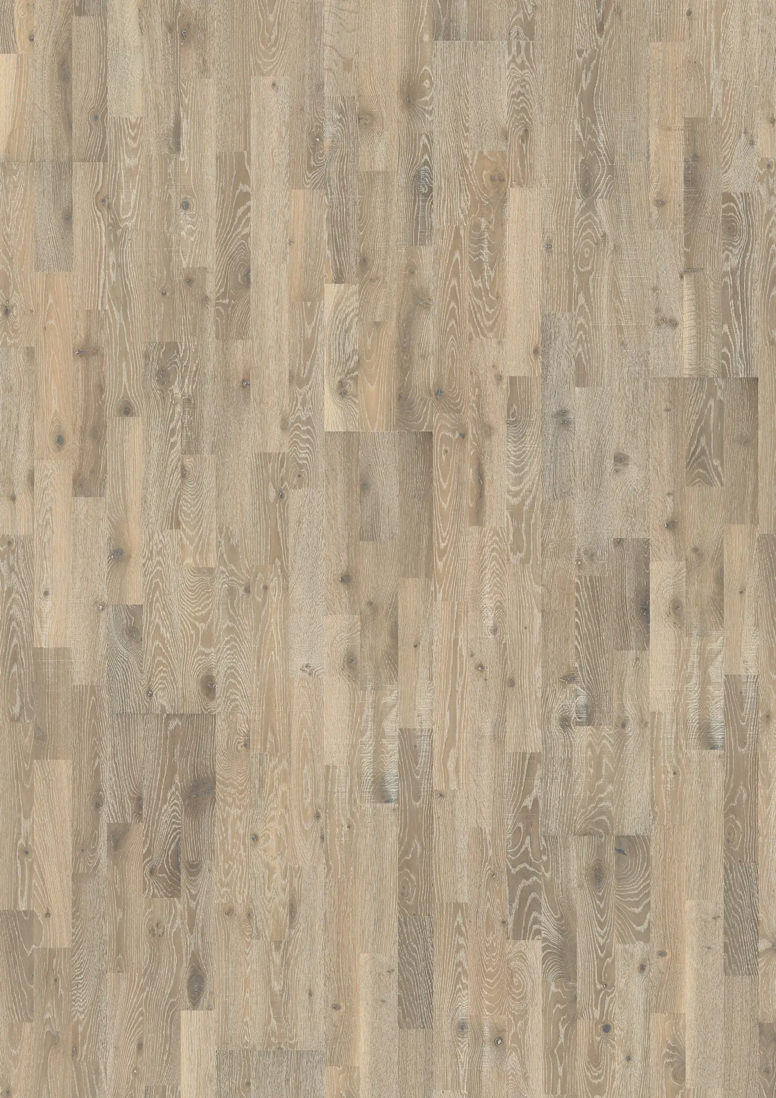 OAK KILESAND Prøver Kährs