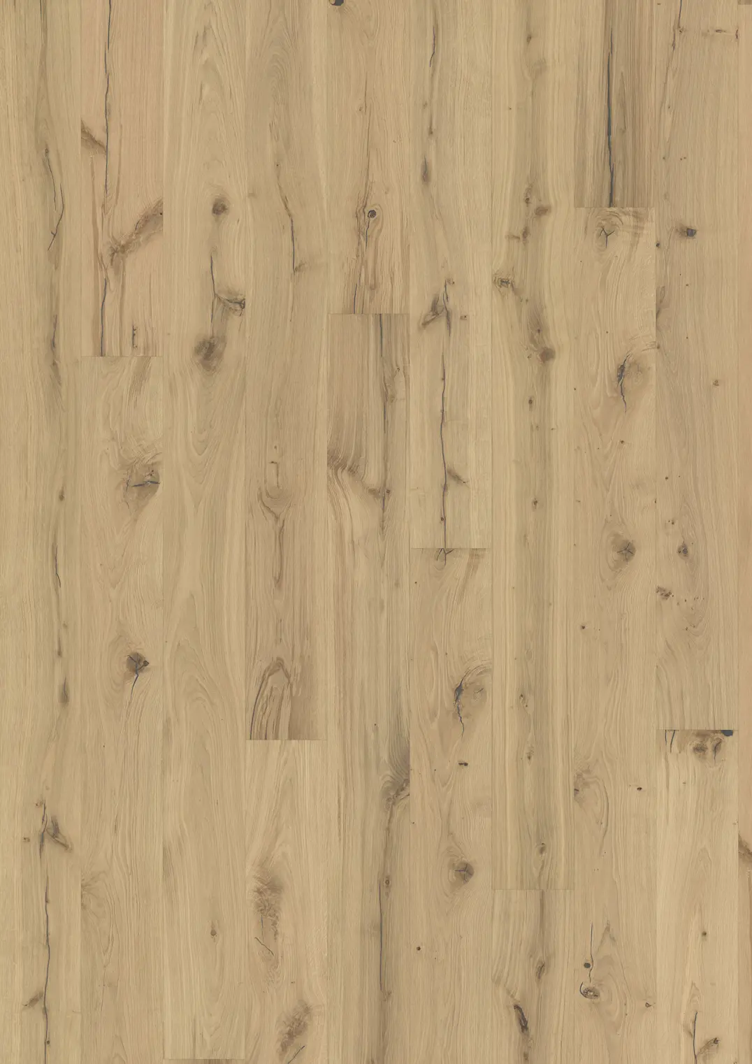 EICHE ALPIN ROHOPTIK