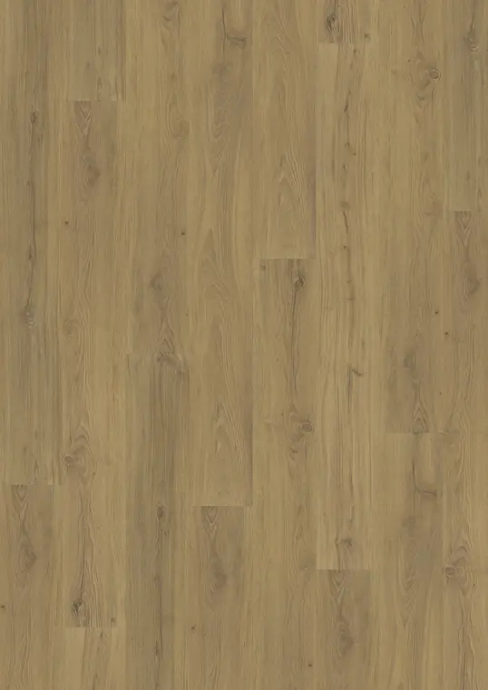 FOXALL - CLICK 6 MM IMPRESSION