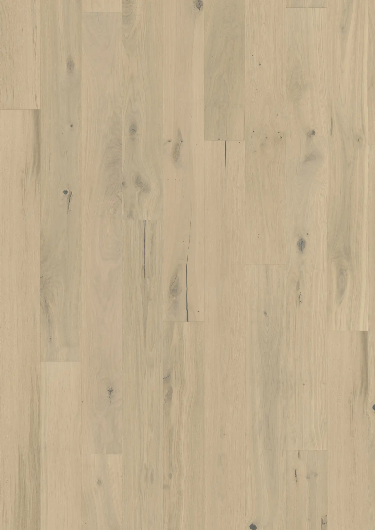 OAK FROSTED OAT PLANK Floors Kährs