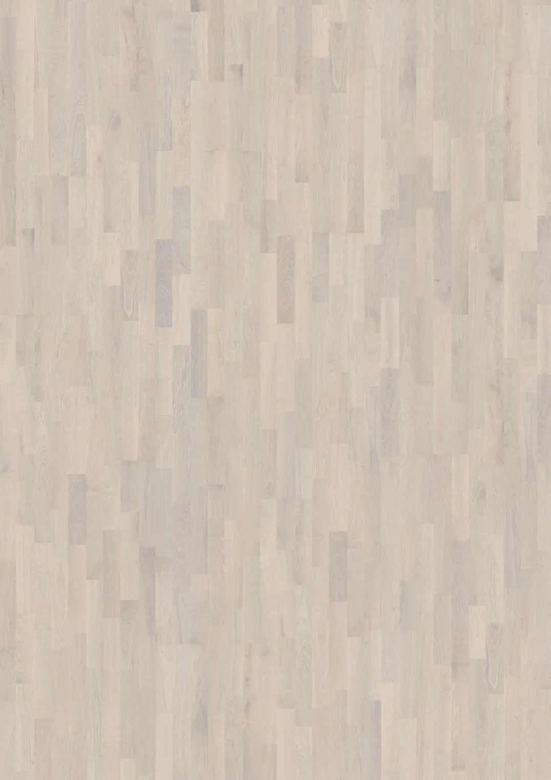 OAK RIME