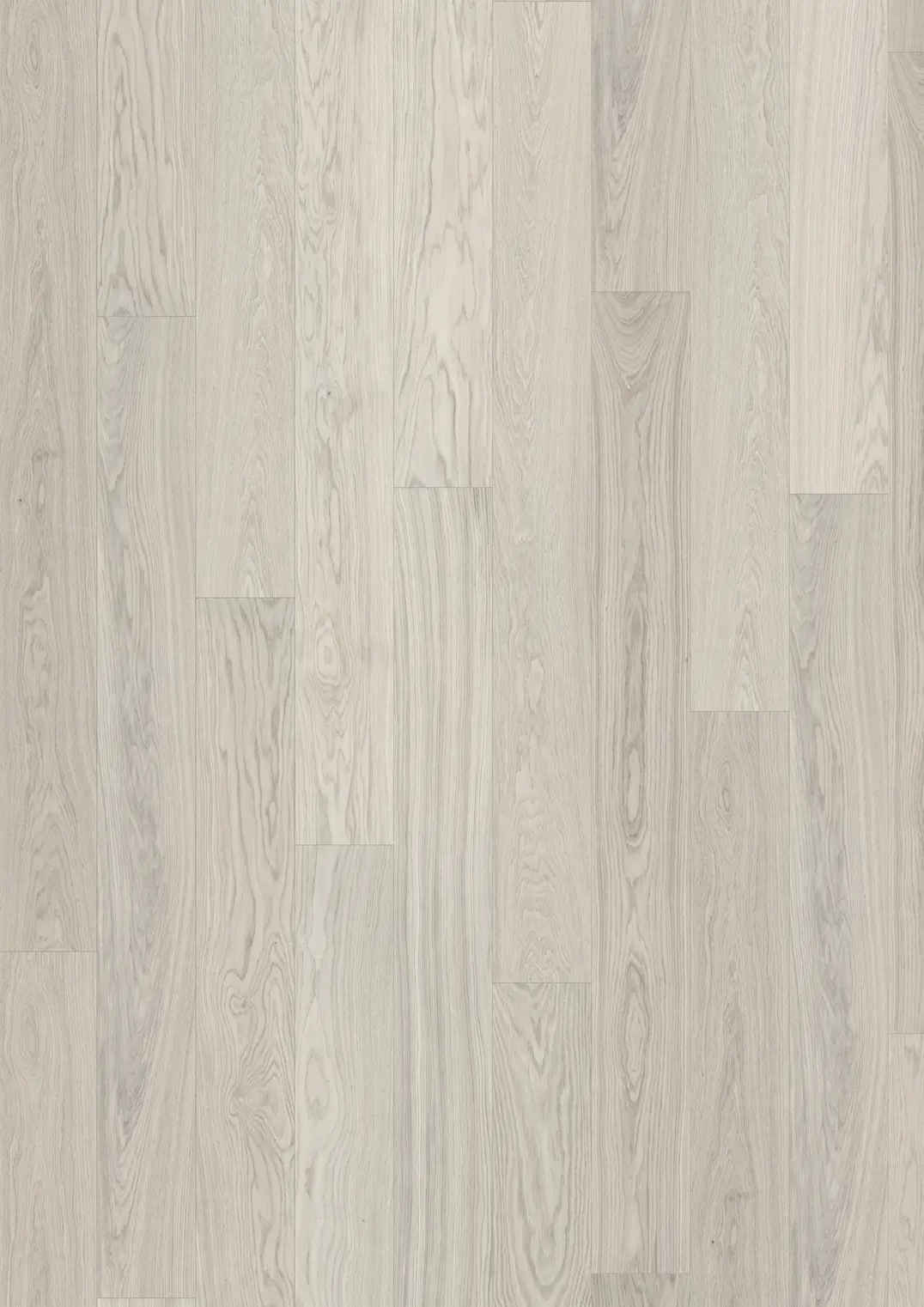 OAK CELERY PLANK