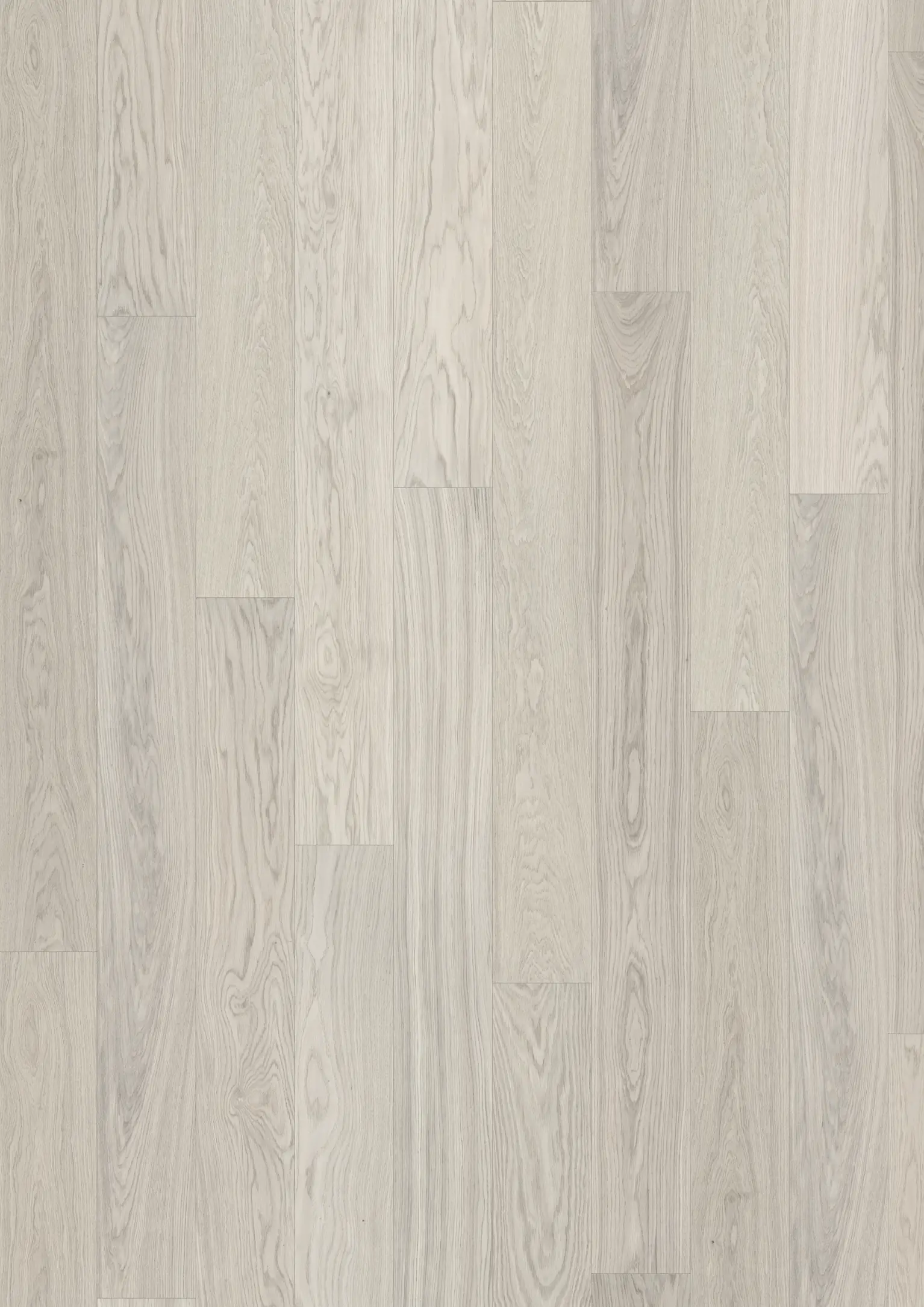 OAK CELERY PLANK