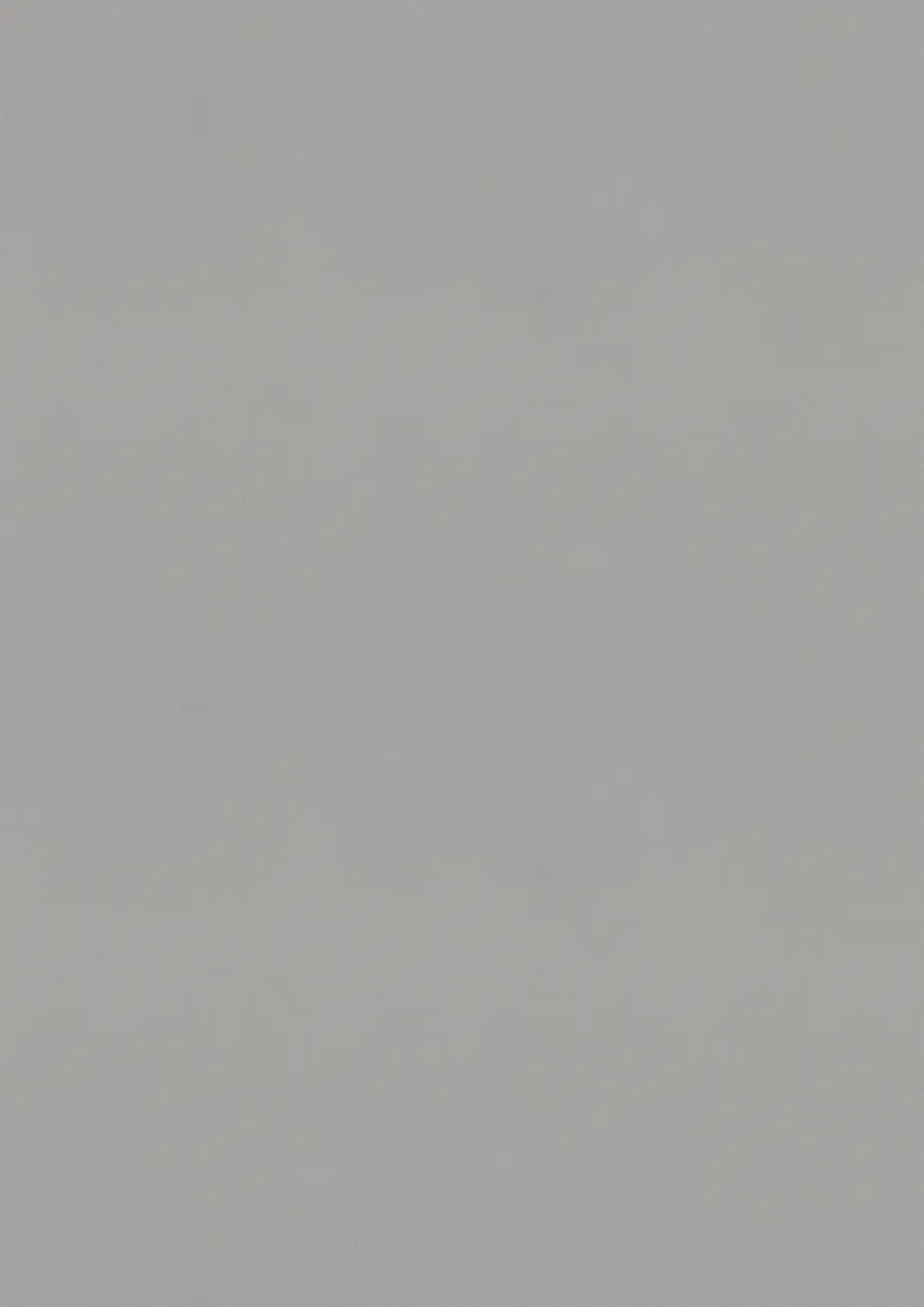 ESTRAD SAFETY R11/45 7756