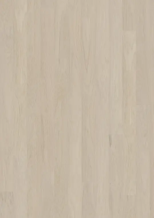 COCONUT CREAM WIDE