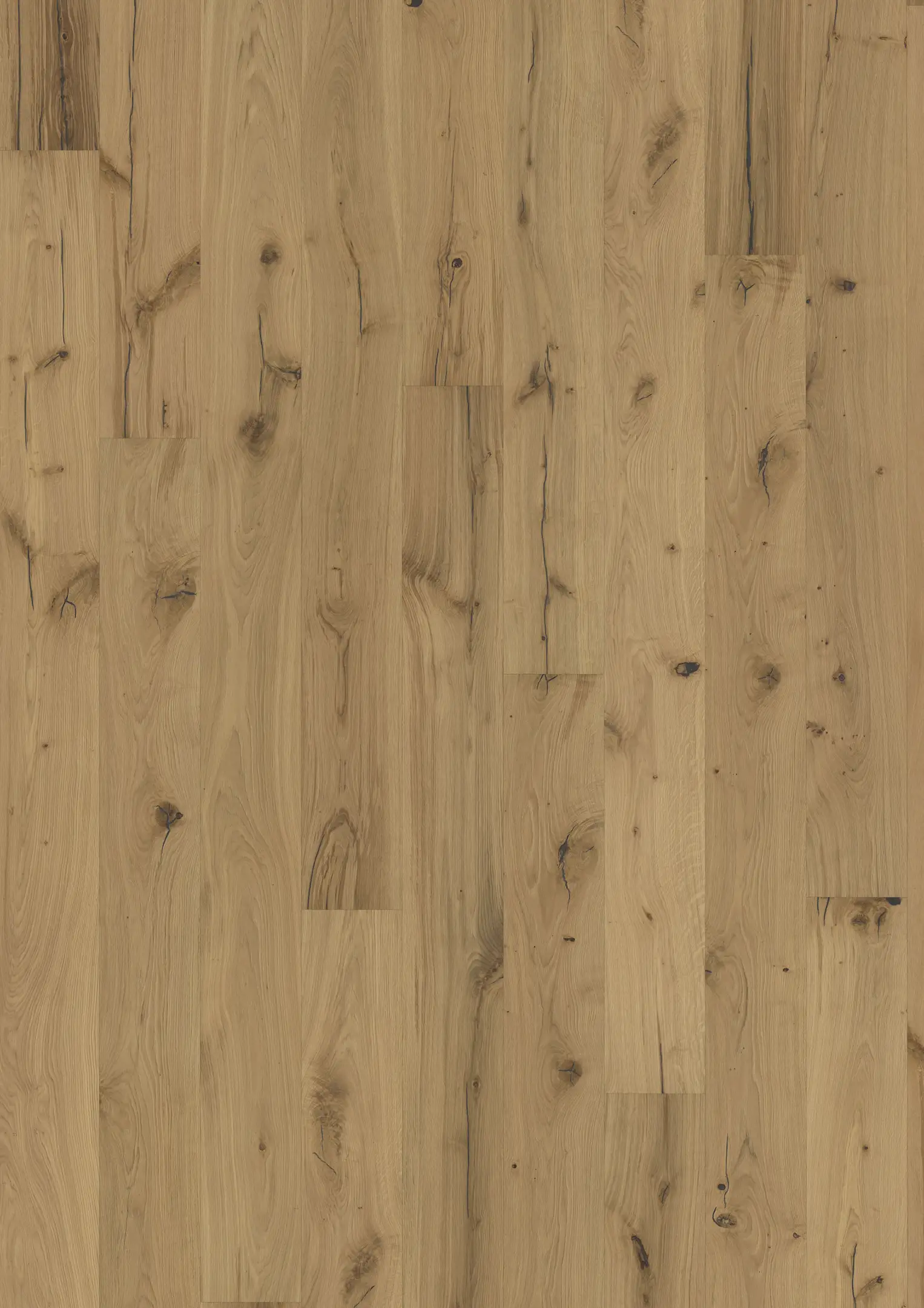 OAK PALLIDO Samples Kährs