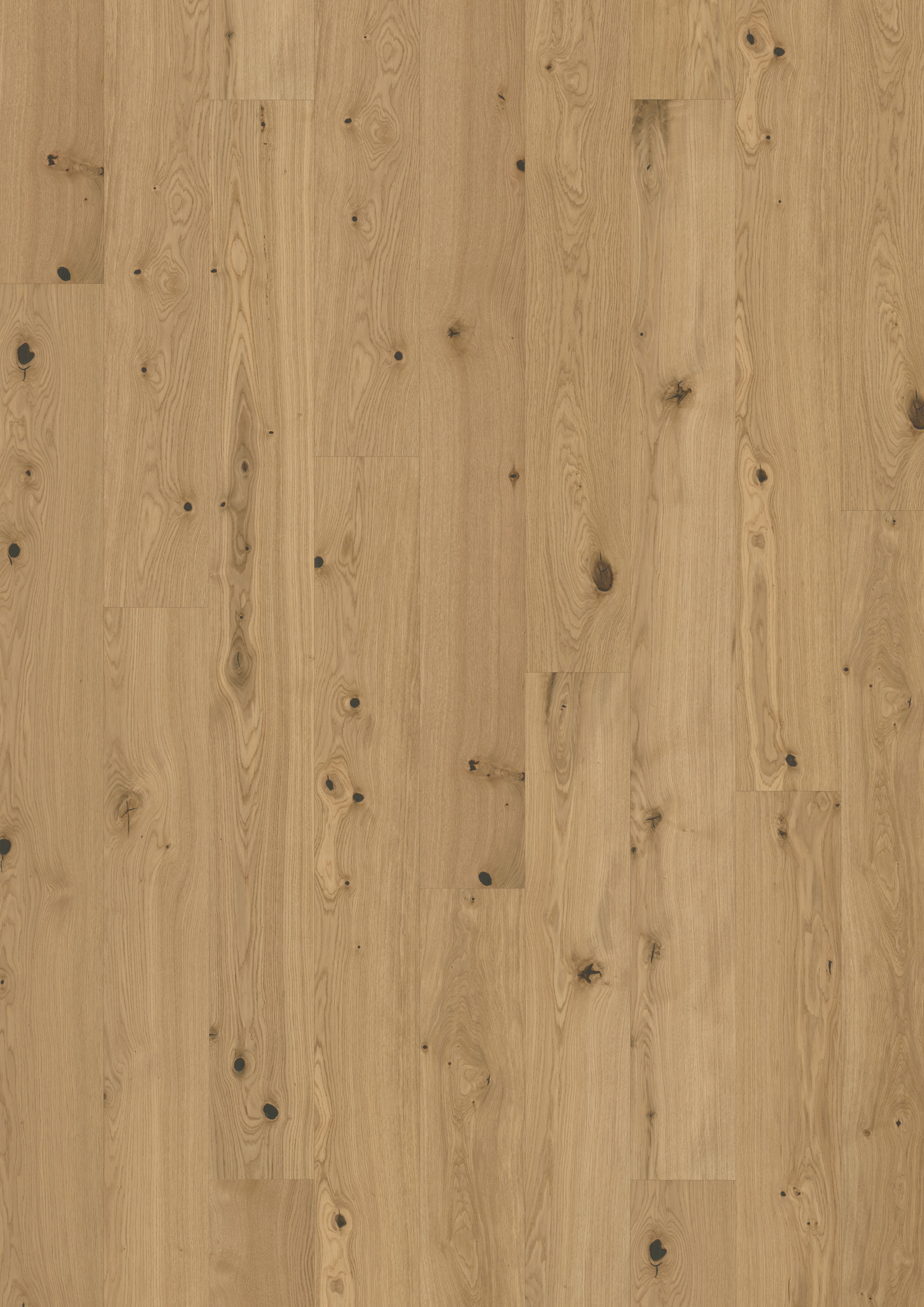 OAK CARDAMOM PLANK - Kährs