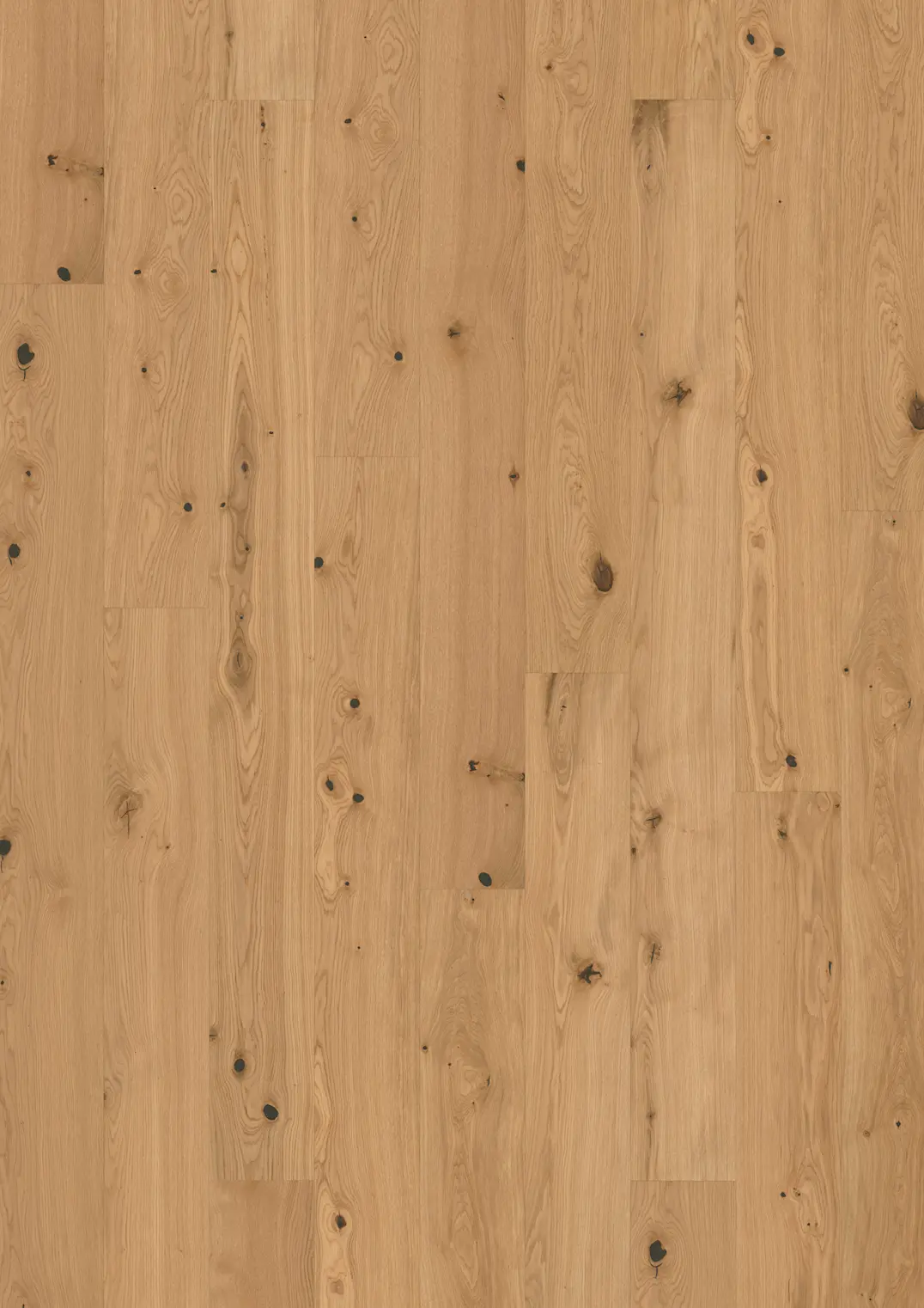 TAMMI CARDAMOM PLANK