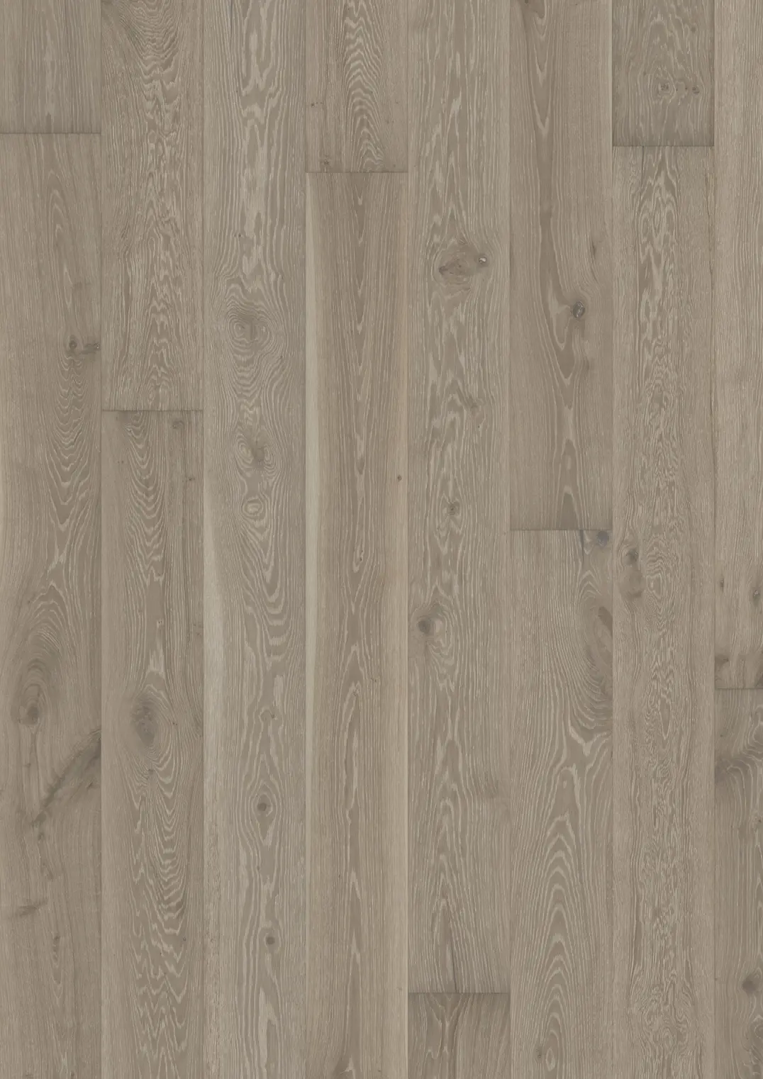 TAMMI STORY 188 DACITE GREY