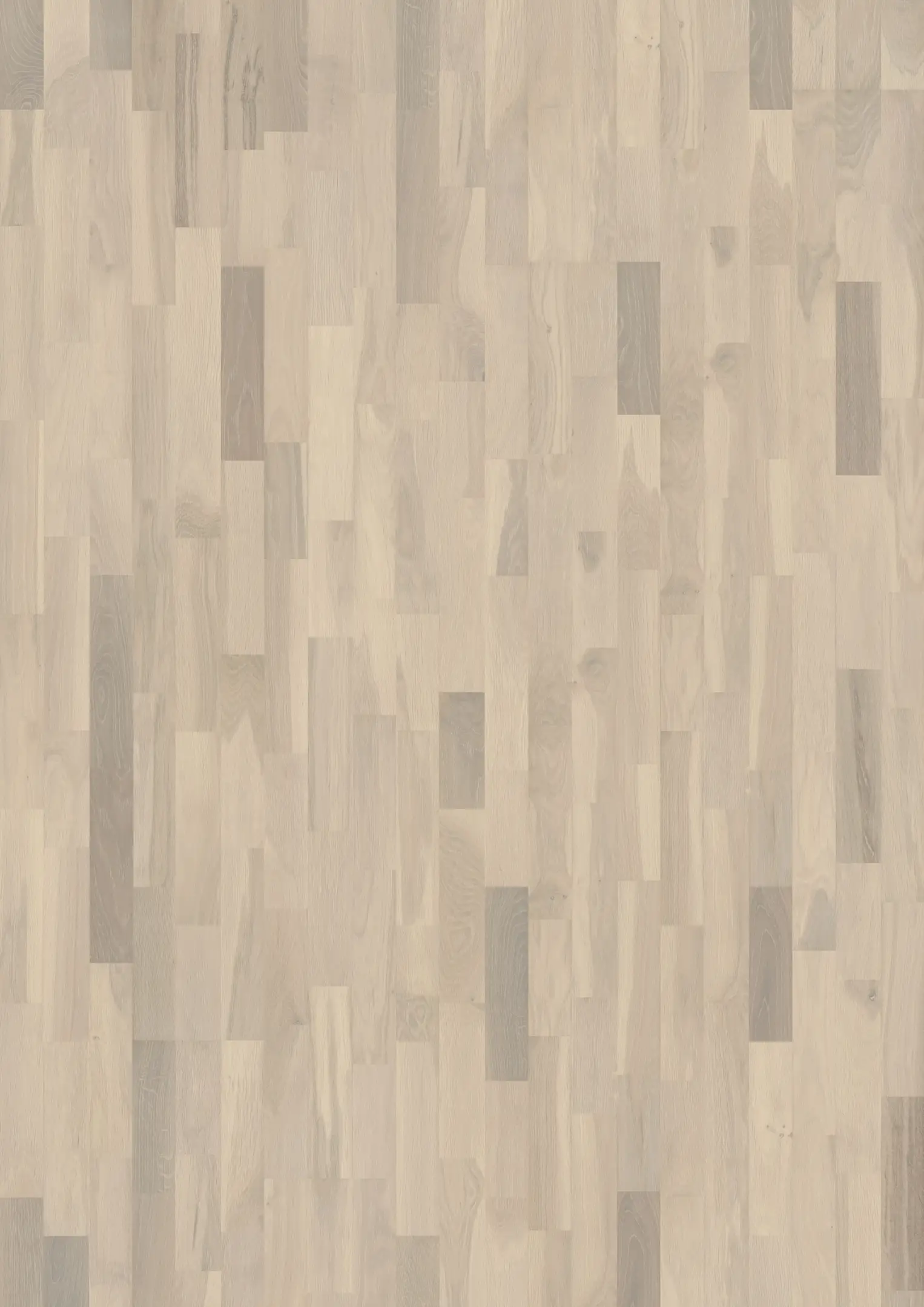 OAK CORTINA Prøver Kährs