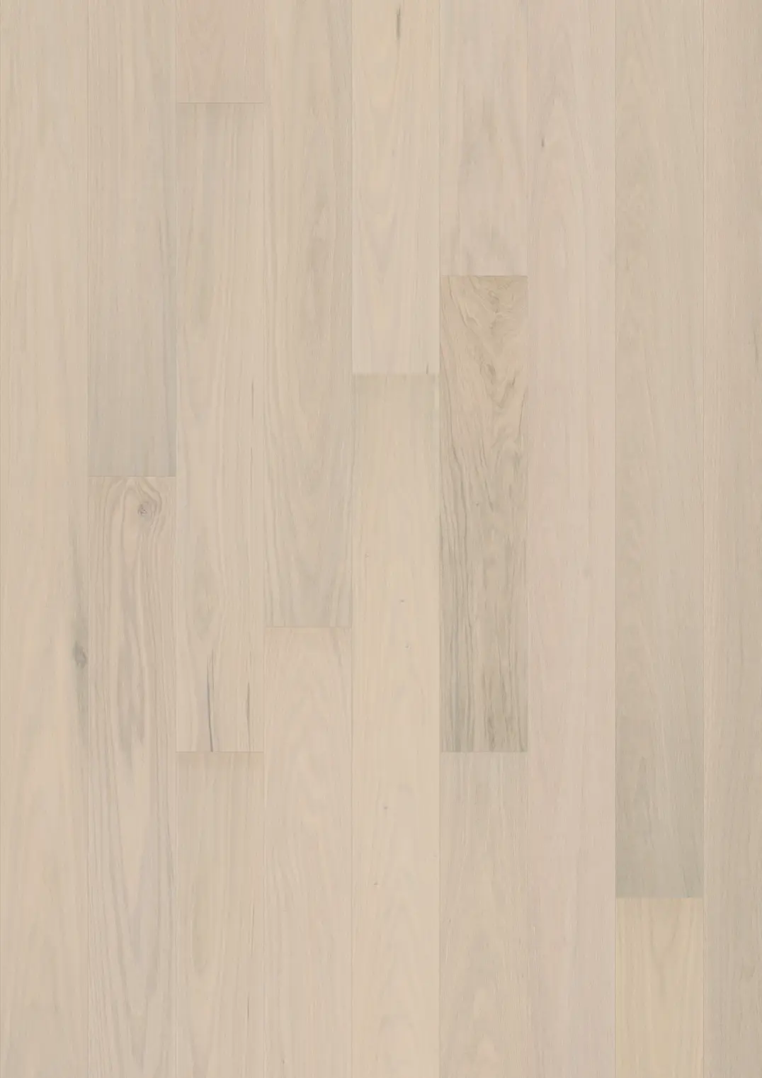 RED OAK NEMOUR MATTE