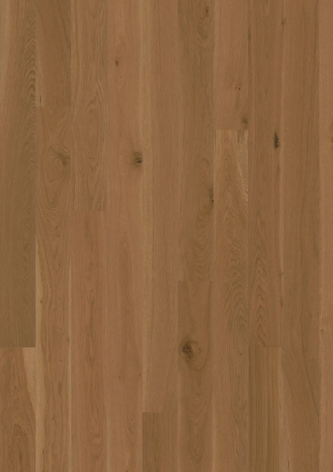 OAK LATTE