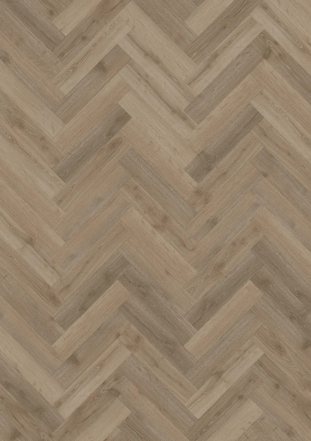 BLAIKEN DRY BACK KALANRUOTO