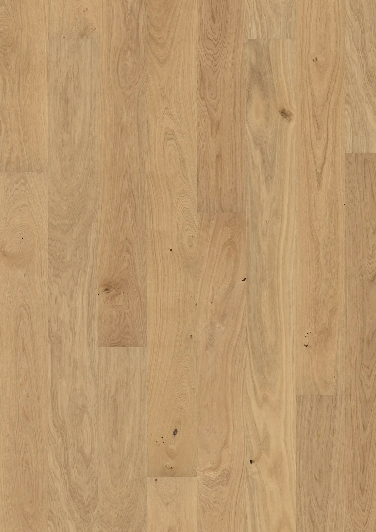 OAK BUTTERCUP Floors Kährs