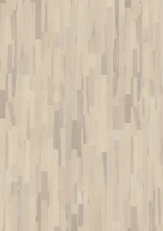 ASH CORAL