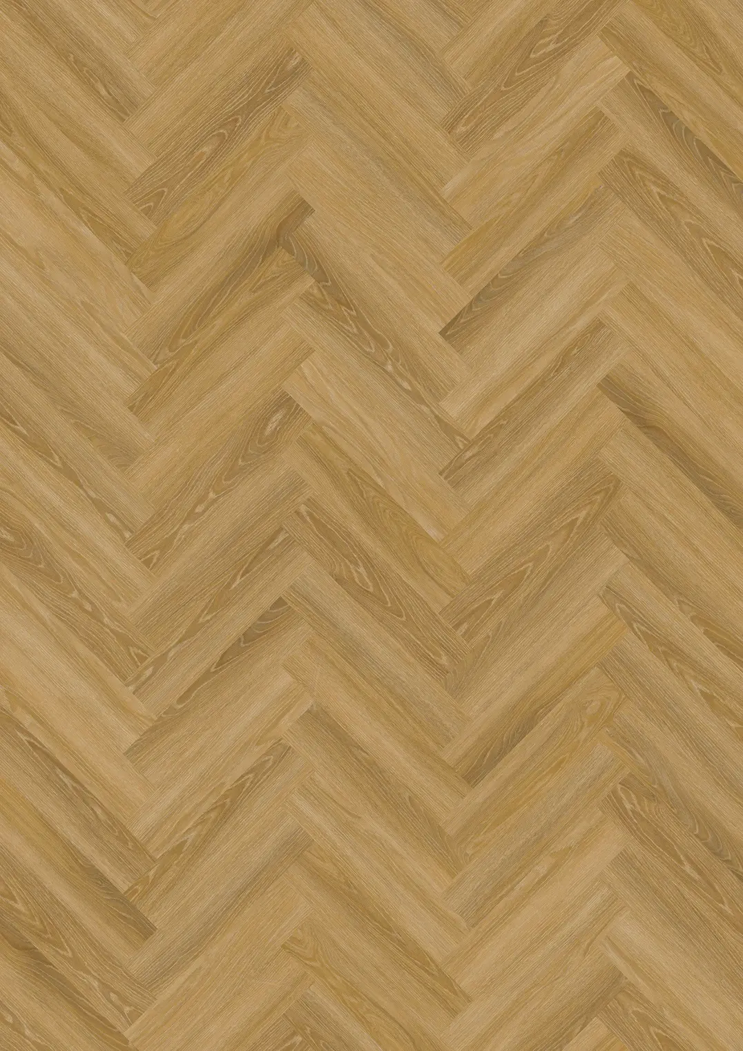 FONTIN DRY BACK KALANRUOTO