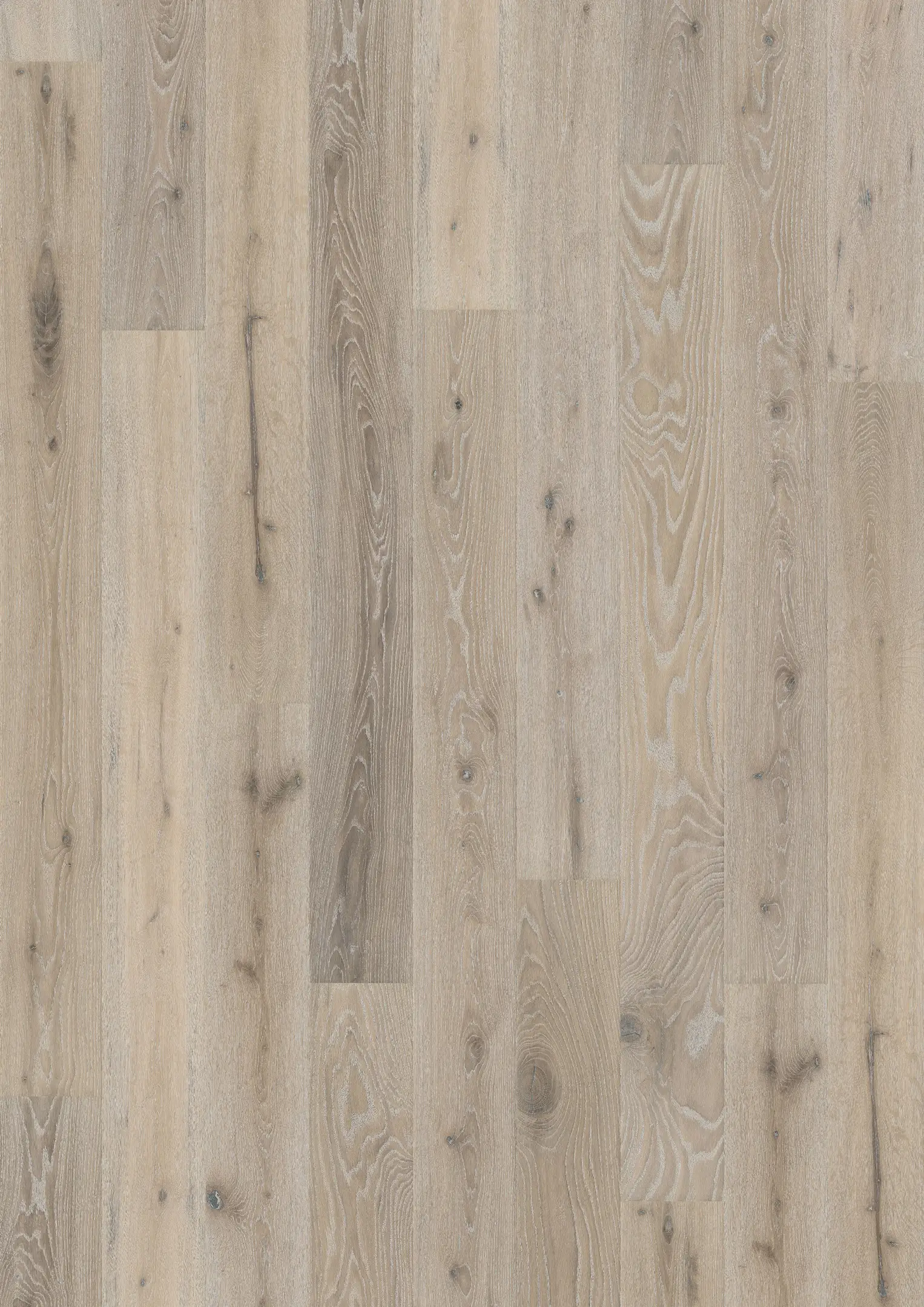 EICHE OYSTER Alle Bodenbeläge Kährs