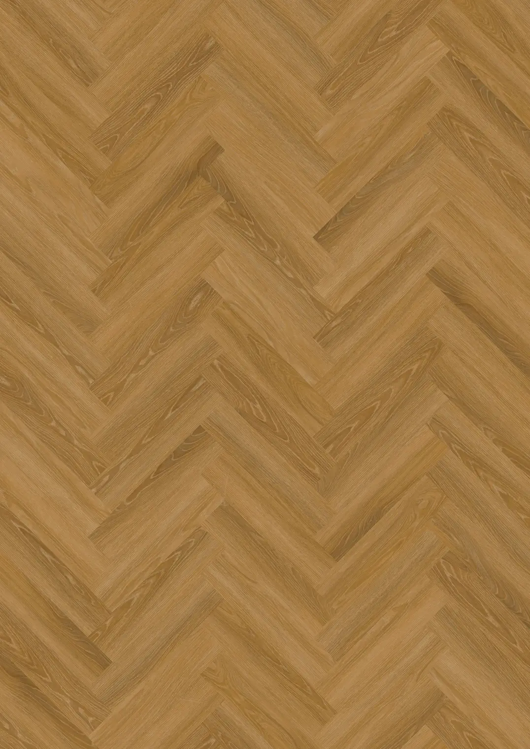 FONTIN DRY BACK KALANRUOTO