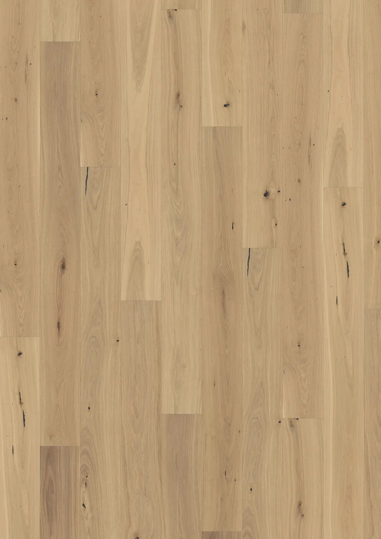 OAK PIAZZA CD WHITE 11 MM Samples Kährs